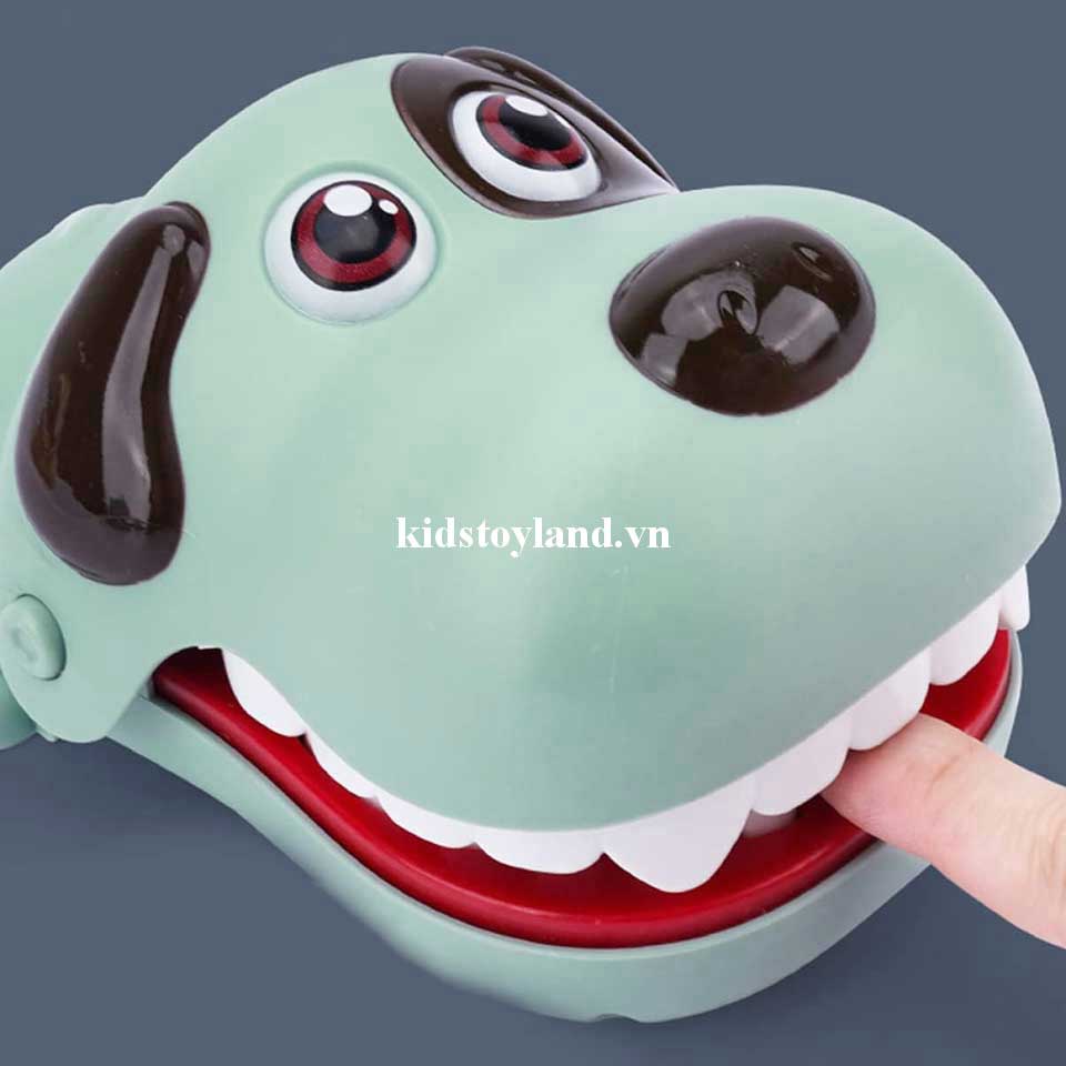 Đồ Chơi Khám Răng Chó Cắn Tay - Ảnh 21